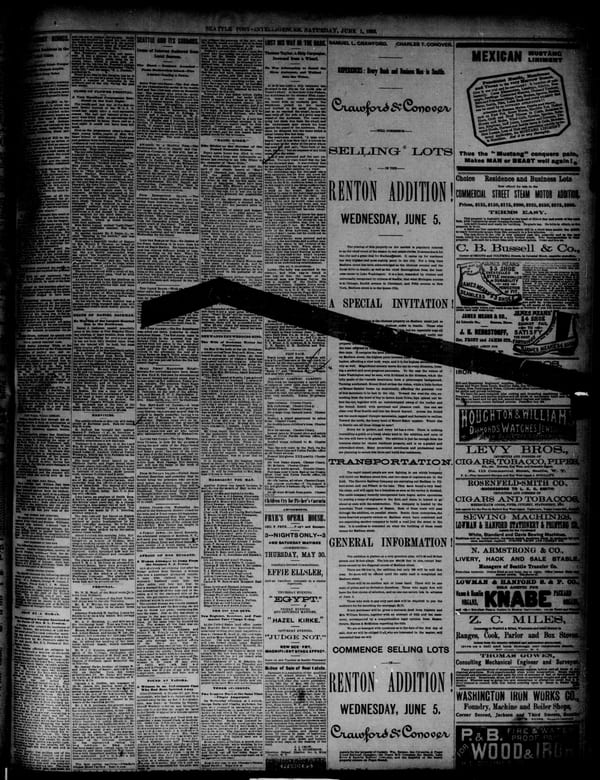 Newspaper page, 1889-06-01