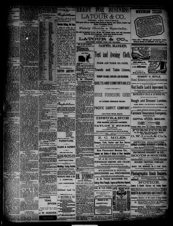 Newspaper page, 1889-06-24