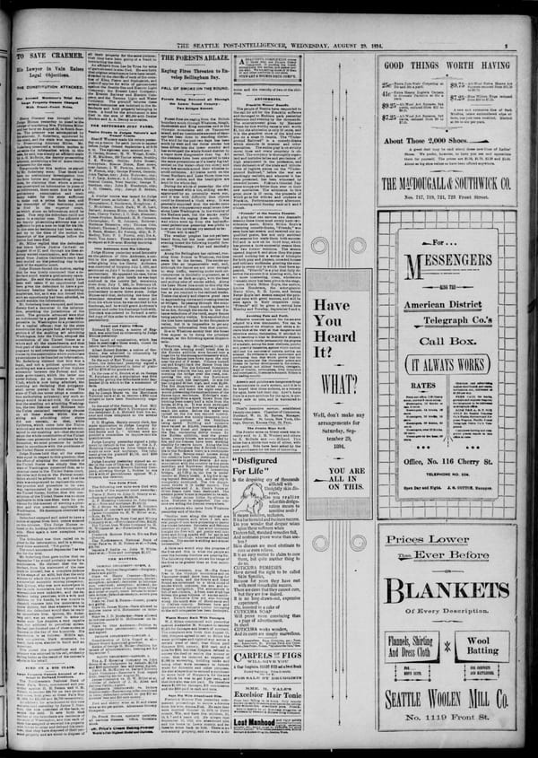 Newspaper page, 1894-08-29