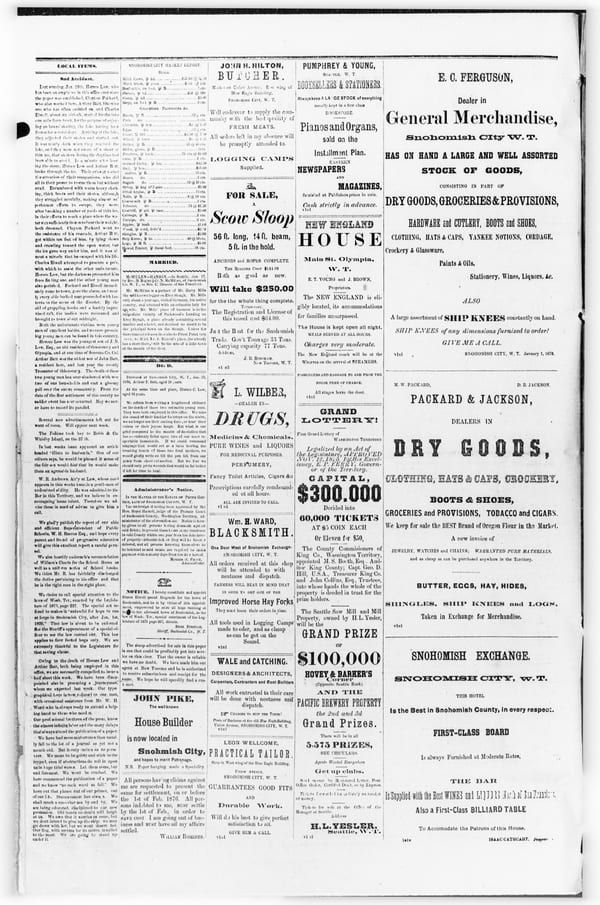 Newspaper page, 1876-01-29
