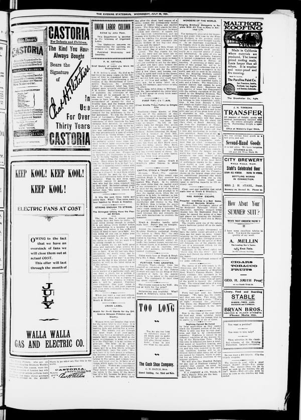 Newspaper page, 1903-07-29