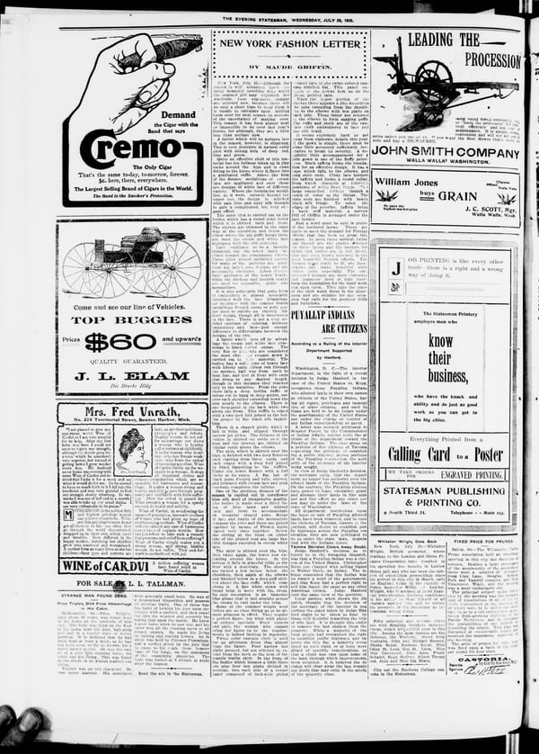 Newspaper page, 1903-07-29