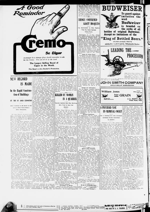 Newspaper page, 1903-07-31