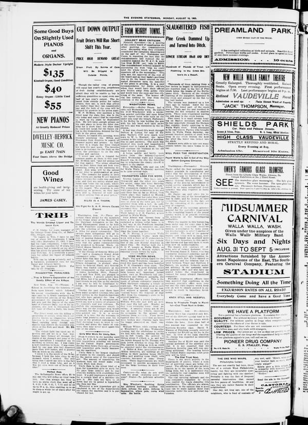 Newspaper page, 1903-08-10